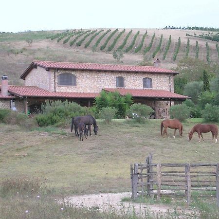 Casale Farnesiana B&B Tarquinia Εξωτερικό φωτογραφία