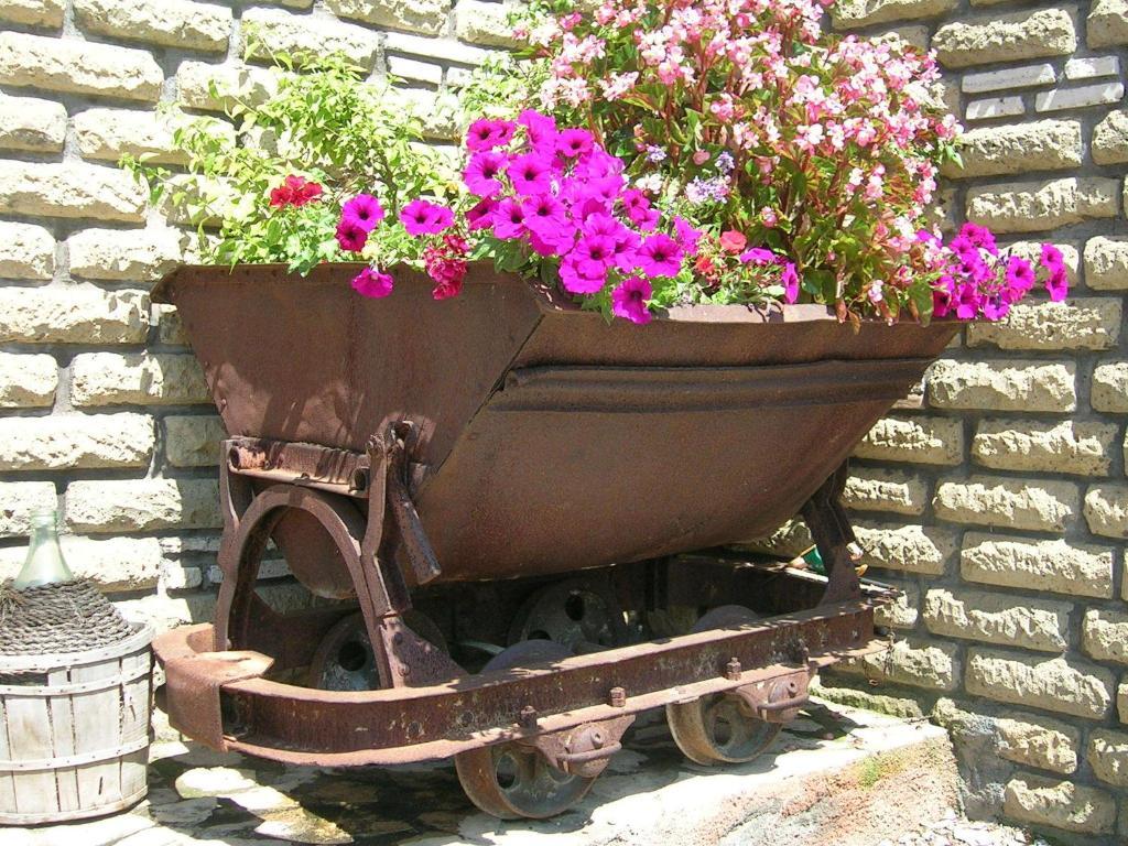 Casale Farnesiana B&B Tarquinia Εξωτερικό φωτογραφία