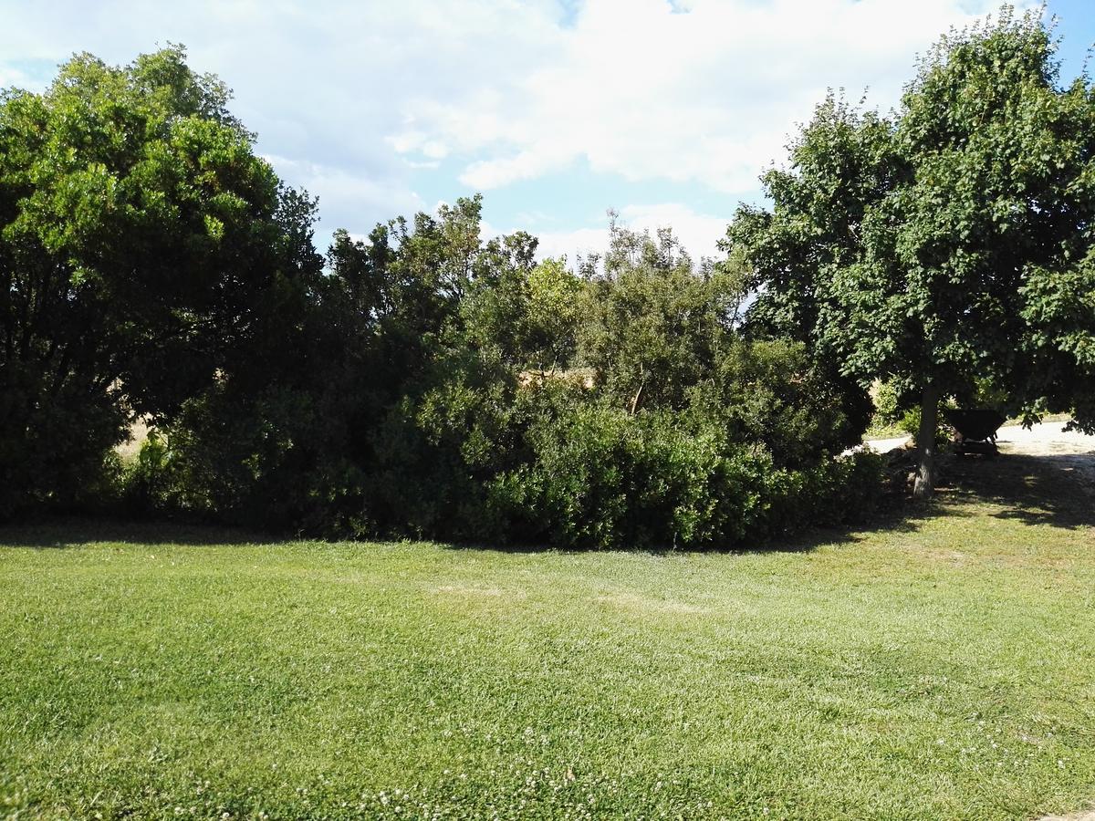 Casale Farnesiana B&B Tarquinia Εξωτερικό φωτογραφία