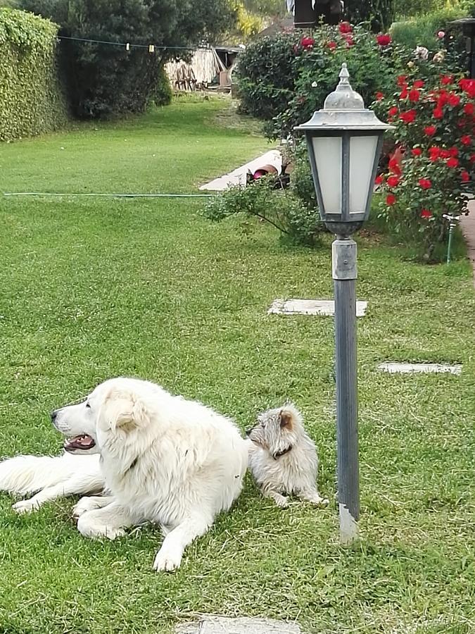 Casale Farnesiana B&B Tarquinia Εξωτερικό φωτογραφία