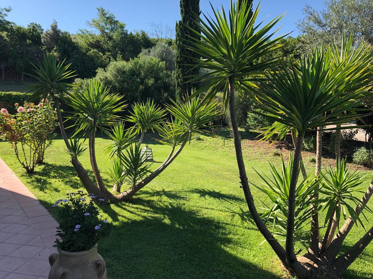Casale Farnesiana B&B Tarquinia Εξωτερικό φωτογραφία